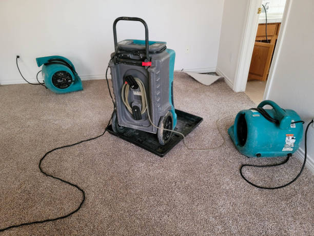 Best Water damage restoration company  in Ely, NV