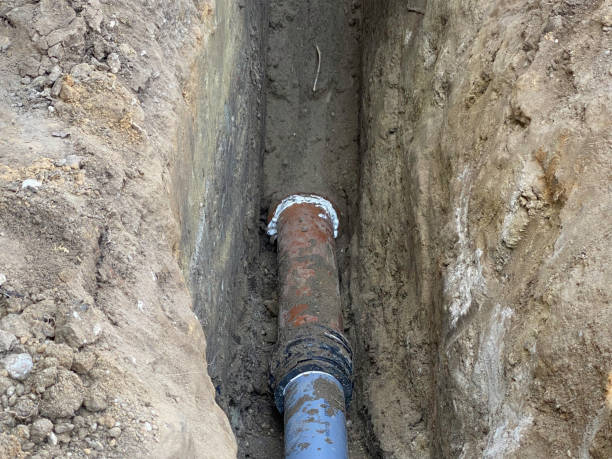 Best Flood damage cleanup  in Ely, NV