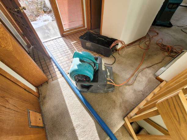Best Commercial water damage restoration  in Ely, NV