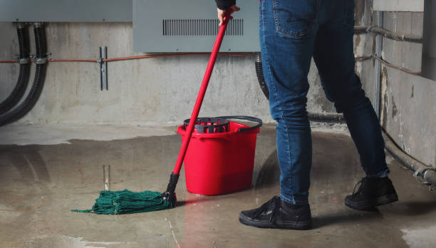 Best 24/7 water damage repair  in Ely, NV