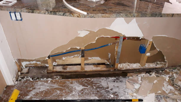 Best Flood restoration services  in Ely, NV