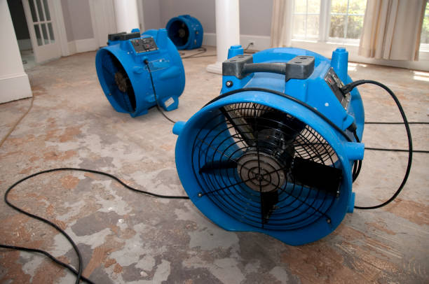 Best Flood restoration services  in Ely, NV