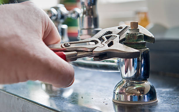 Best 24-hour water damage restoration  in Ely, NV